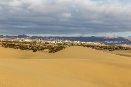 Plants And Buildings In Maspalomas Sand Dunes With Mountain In The Background - Maspalomas, Gran Canaria, Canary Islands, Spainの写真素材