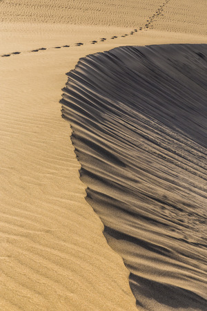 Abstract Detail Of Sand Dunes During Sunrise - Maspalomas, Gran Canaria, Canary Islands, Spainの写真素材