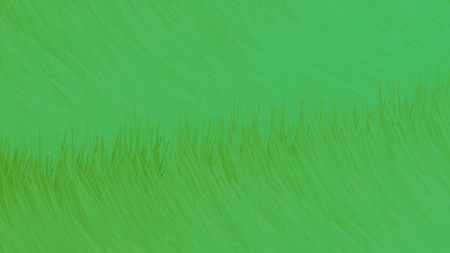 Christmas tree green branch background texture 2019 new year abstract raster wallpaper