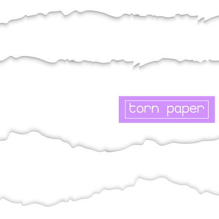 Isolated on white vector torn paper with ripped edges. . Template mockup designのイラスト素材
