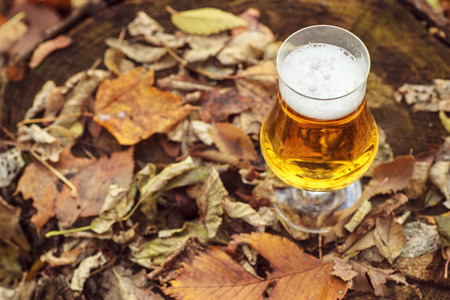 Glass of light beer on a forest floor leaves on an autumn day