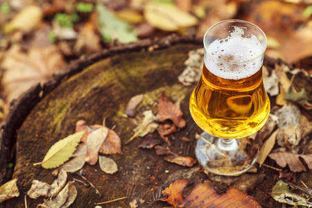 Glass of light beer on a forest floor leaves on an autumn day