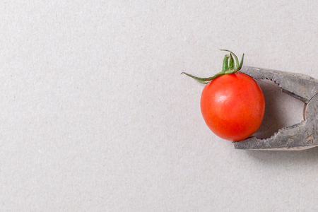 A small cherry tomato held by pliers over a light gray backgroundの写真素材