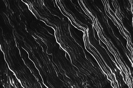 black and white paint backgroundsの写真素材