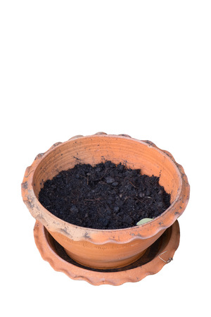 flowerpot and soil inの写真素材