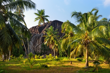 Seychelles, natural wonder form the L&acircUnion Boulderの写真素材