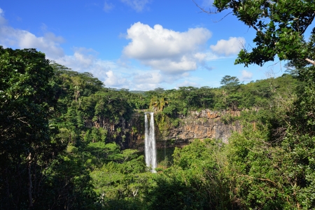 Scenic Chamarel falls in jungle of Mauritius islandの写真素材