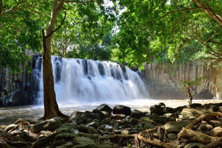 Rochester falls in jungle of Mauritius islandの写真素材