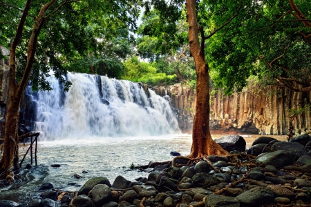 Rochester falls in jungle of Mauritius islandの写真素材