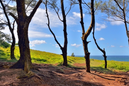 The south shore of Mauritius island  Africaの写真素材