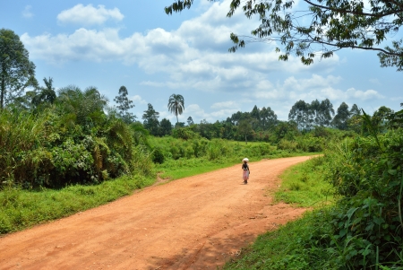 Dirt road in the jungle of Uganda, Africaのeditorial素材