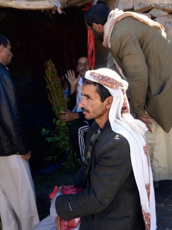 SANAA,YEMEN - MARCH 14  Unidentified dealers of Khat  Catha Edulis  shown in Sanaa, capital of Yemen  Khat contains an amphetamine alkaloid stimulant narcotic illegal in most countriesのeditorial素材
