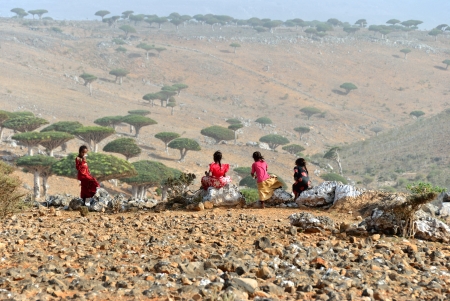 YEMEN - MAR 8, 2010  Unidentified children shown at Socotra island  Children grow up in the poorest country with little opportunity for education のeditorial素材