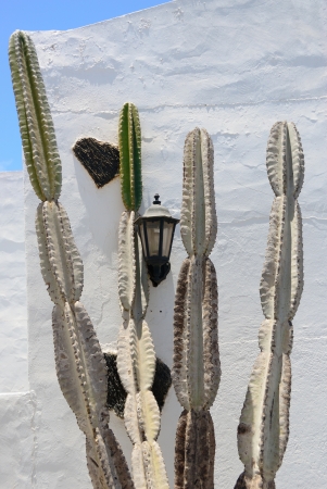 Detail of white typical house with street torch and cactus, Lanzarote, San Bartolome の写真素材