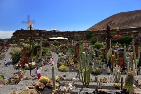 LANZAROTE - JUN 14 2008  View of cactus garden in Guatiza, Lanzarote - Jardin de Cactus  Garden founded Cesar Manrique  is home to over 1,100 different varieties of cactusesのeditorial素材