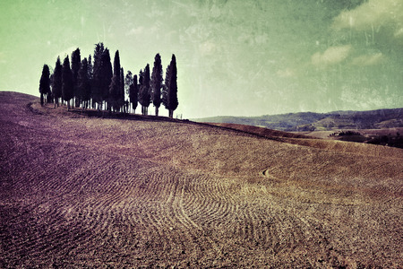 Idyllic Tuscan landscape at sunset near Pienza, Vall dの写真素材