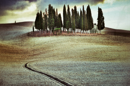 Idyllic Tuscan landscape at sunset near Pienza, Vall dの写真素材