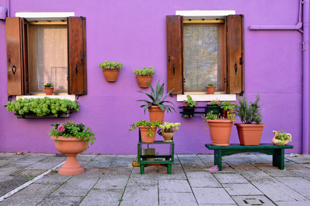 Courtyard with flowers between colorful houses on the famous island Burano, Venice.の写真素材
