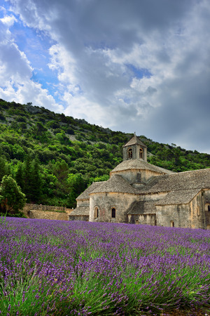 Most beautiful lavender field in Provence. An ancient monastery Abbaye Notre-Dame de Senanque ( Abbey of Senanque) at early morning. Vaucluse, Franceの写真素材