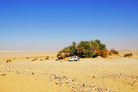 EGYPT, SAHARA - DEC 26, 2008: Off-road car shown in the Sahara desert near small green oasis. Extreme desert safari is one of the main local tourist attraction in Egyptのeditorial素材