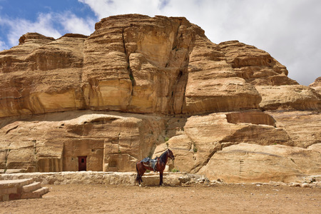 Horse against ancient tomb in world wonder Petra, Jordanの写真素材