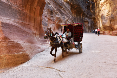 PETRA, JORDAN - APR 2, 2015: Unidentified man in a horse carriage in a gorge, Siq canyon in Petra. Small depth of fieldのeditorial素材