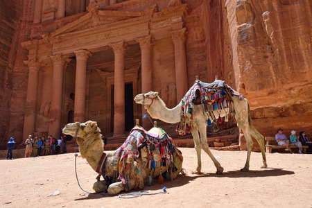 PETRA, JORDAN - APR 2, 2015: Two camels against the Treasure (El Khasneh). Petraのeditorial素材