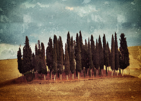 Idyllic Tuscany rural landscape near Pienza Italy Europe. Plowed field on the Crete Senesi hills. Altered image. Vintage effect appliedの写真素材