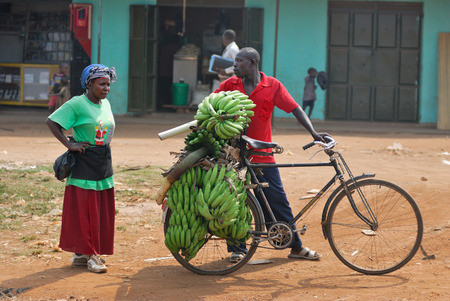KAMPALA UGANDA AUG 26 2010: Native people carry bananas by bike in slum of Kampala. Nearly 40 of...