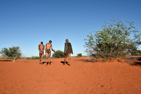 KALAHARI, NAMIBIA - JAN 24, 2016: Bushmen hunters in the bush. The San people, also known as Bushmen are members of various indigenous hunter-gatherer peoples of Southern Africaのeditorial素材