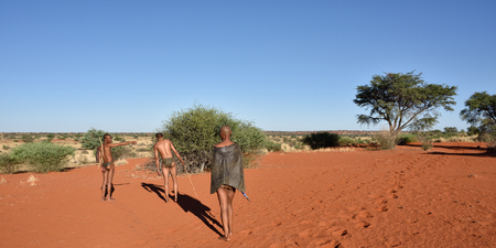 KALAHARI, NAMIBIA - JAN 24, 2016: Bushmen hunters in the bush. The San people, also known as Bushmen are members of various indigenous hunter-gatherer peoples of Southern Africaのeditorial素材