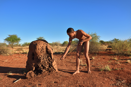 KALAHARI, NAMIBIA - JAN 24, 2016: Bushman hunter near termite mound. The San people, also known as Bushmen are members of various indigenous hunter-gatherer peoples of Southern Africaのeditorial素材