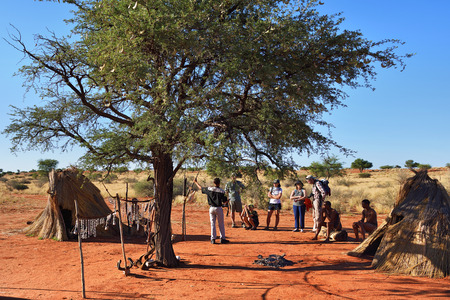 KALAHARI, NAMIBIA - JAN 24, 2016: Tourists visit bushmen tribe village. The San people, also known as Bushmen are members of various indigenous hunter-gatherer peoples of Southern Africaのeditorial素材