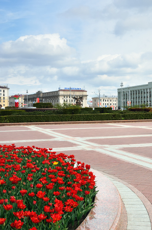 MINSK, BELARUS - JULY 30, 2015: Central part of Minsk at spring day, flowering tulips in flowerbed at squareのeditorial素材