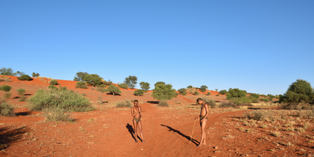 KALAHARI, NAMIBIA - JAN 24, 2016: Bushmen hunters in the Kalahari desert. San people, also known as...