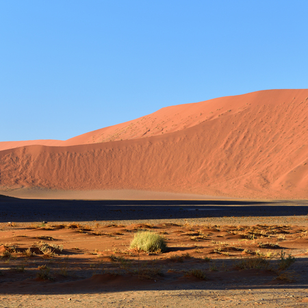 Beautiful landscape with big red dune at sunrise, Sossusvlei, Namib Naukluft National Park, Namibia, Namib desert, Africaの写真素材
