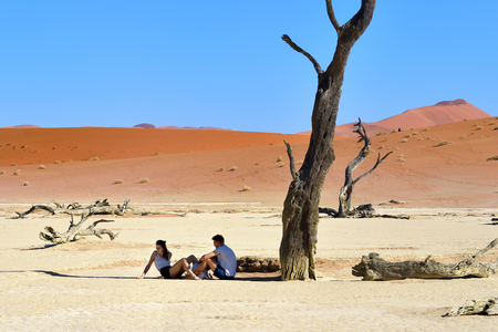 DEADVLEI, NAMIBIA - JAN 29, 2016: Tourists have a rest in shadow of the dead camelthorn tree in Deadvlei, Sossusvlei. Namib-Naukluft National Park, Namibia, Africaのeditorial素材