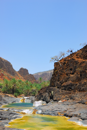 Yemen. Most beautiful canyon on Socotra island Wadi Dirhur. Mountain river between roksの写真素材