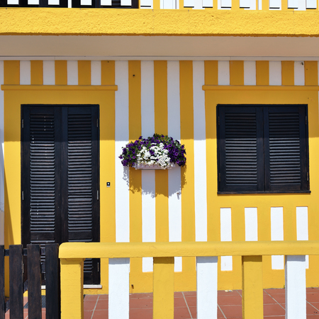 Detail of the house in famous resort Costa Nova on the Atlantic coast, Portugal. Flowers on the yellow and white striped wallの写真素材