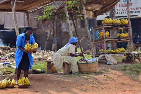 Kampala, Uganda - Aug 26, 2010: Native people sell banana at local market in slum of Kampala, Uganda. Nearly 40% of slum dwellers have a monthly income of just 2,500 shillings, less than a dollar, 98% of those are womenのeditorial素材
