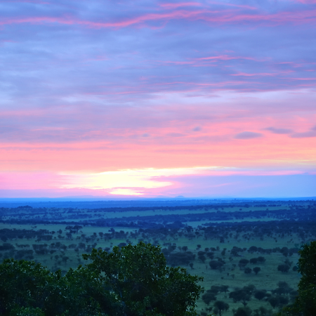 Beautiful view of the savanna from the top in the Serengeti National Park during the sunrise, Tanzania, Africaの写真素材
