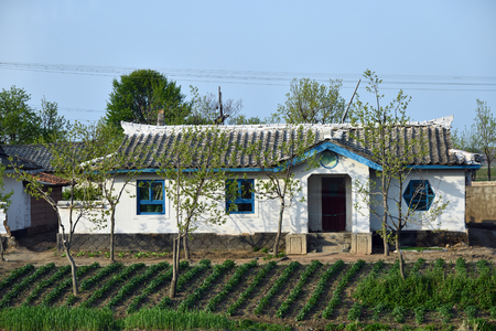 Typical house of peasants built by the state for residents of the countryside. North Korea. DPRK. Village and plowed fieldsの写真素材