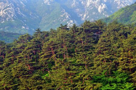 North Korean scenery. The Diamond mountains at sunriseの写真素材