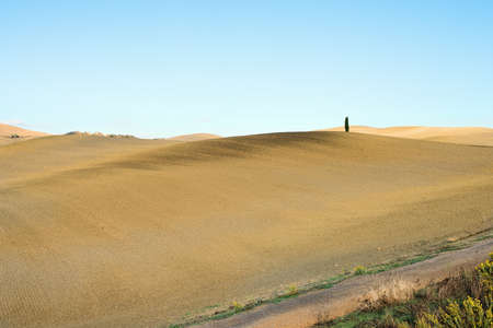 Idyllic Tuscany rural landscape near Pienza, Italy, Europe. Plowed autumn field on the Crete Senesi hills at sunrise.の写真素材