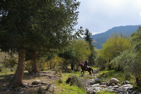 Issyk-Kul, Kyrgyzstan - 19 September, 2022: A peasant on a horse crosses a dry mountain river bed, Tien Shan mountains on backgroundのeditorial素材