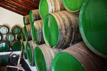 Winery in Lanzarote Canary Islands. Old barrels for grape wine. Barrels with wine in cellar. Most of...
