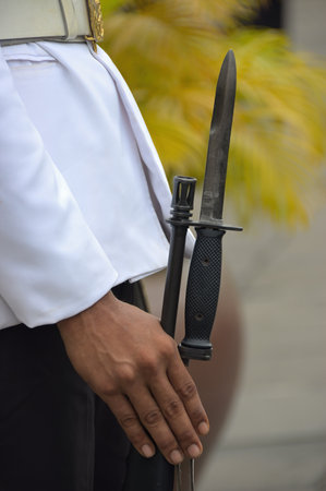 The hand of a Thai soldier from the honor guard at the Royal Palace in Bangkok holds a rifle with a...
