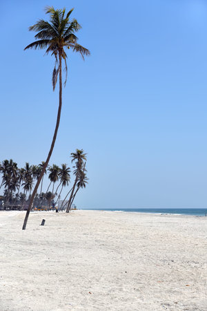 Al Haffa Beach is a picturesque stretch of coastline located in Salalah, Omanの写真素材