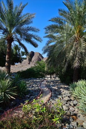 Muscat, Oman. Al Bustan. Park between Al Hajar mountains and the Golf of Omanの写真素材