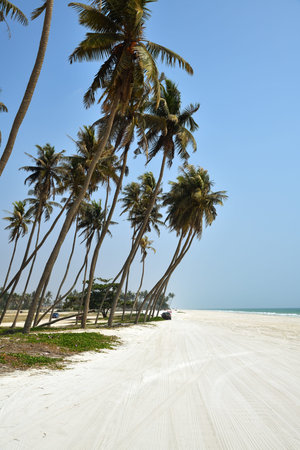 Al Haffa Beach is a picturesque stretch of coastline located in Salalah, Omanの写真素材